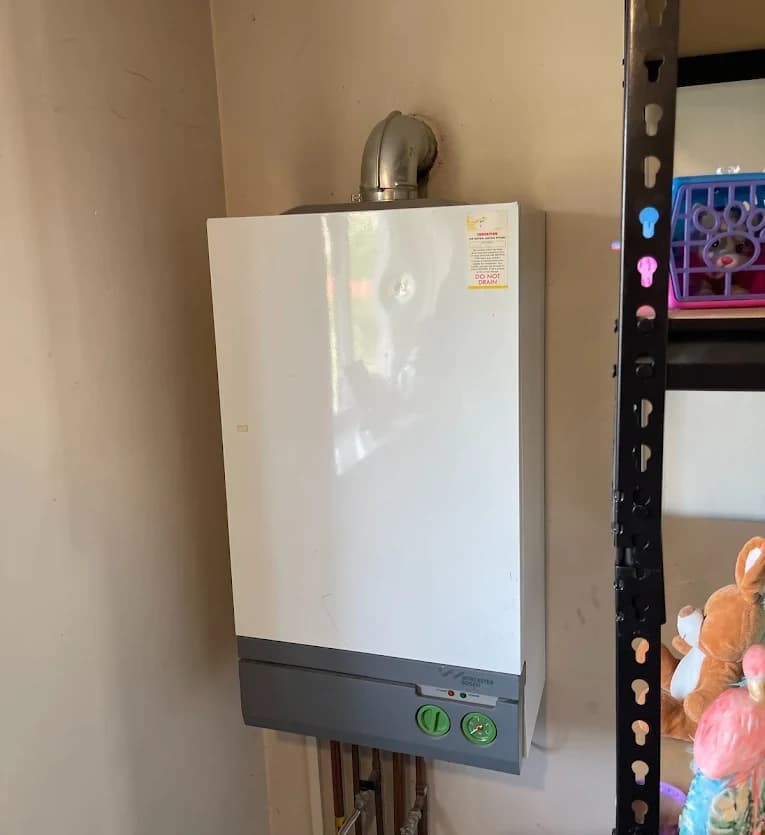 Boiler installation with a vertical flue